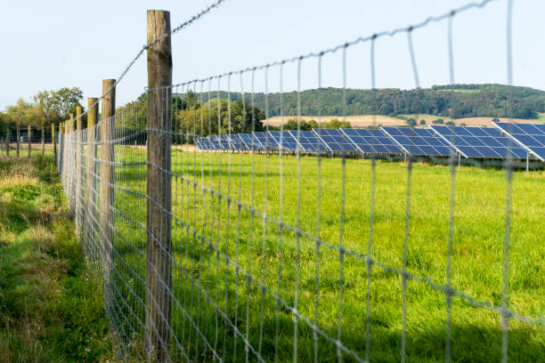 Solar Fencing